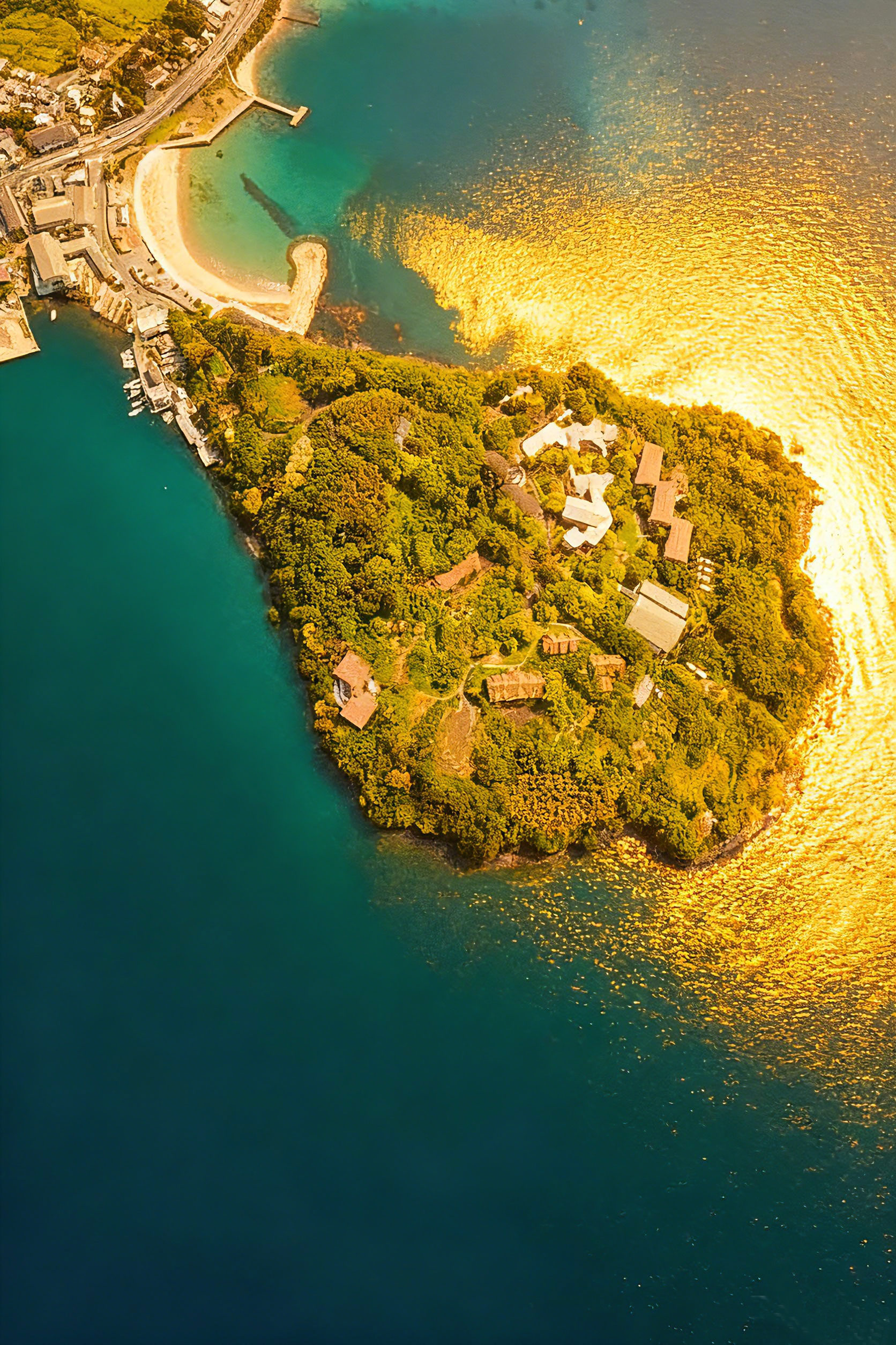 地域連携の風景